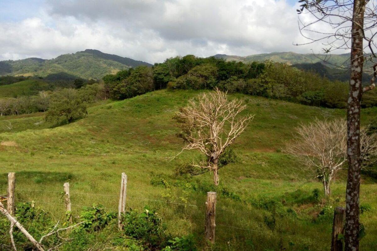 Loma Ranchito, Herrera, Panama